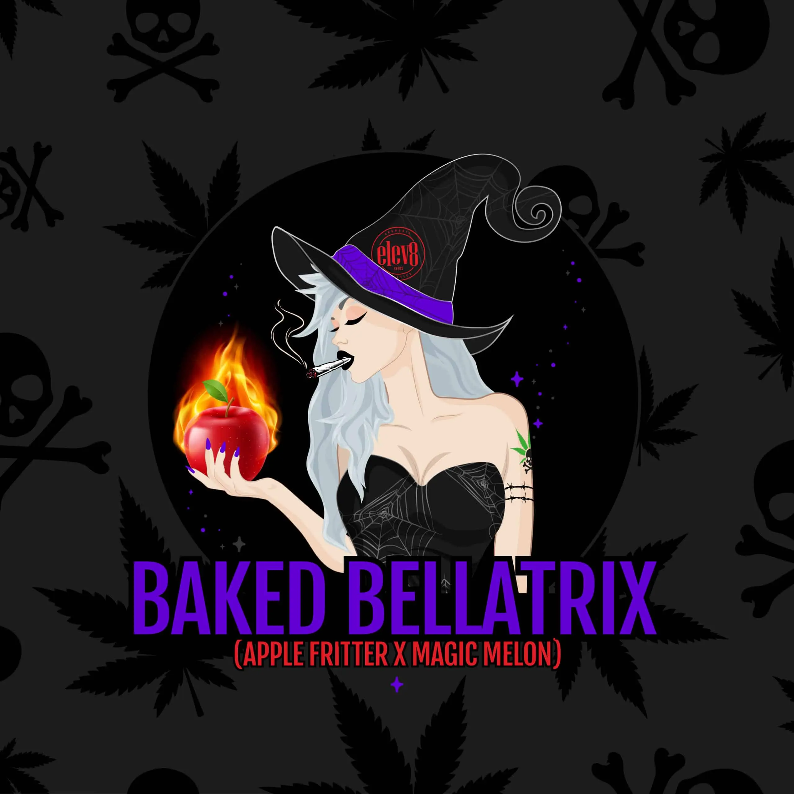 Baked Bellatrix Square Scaled 1