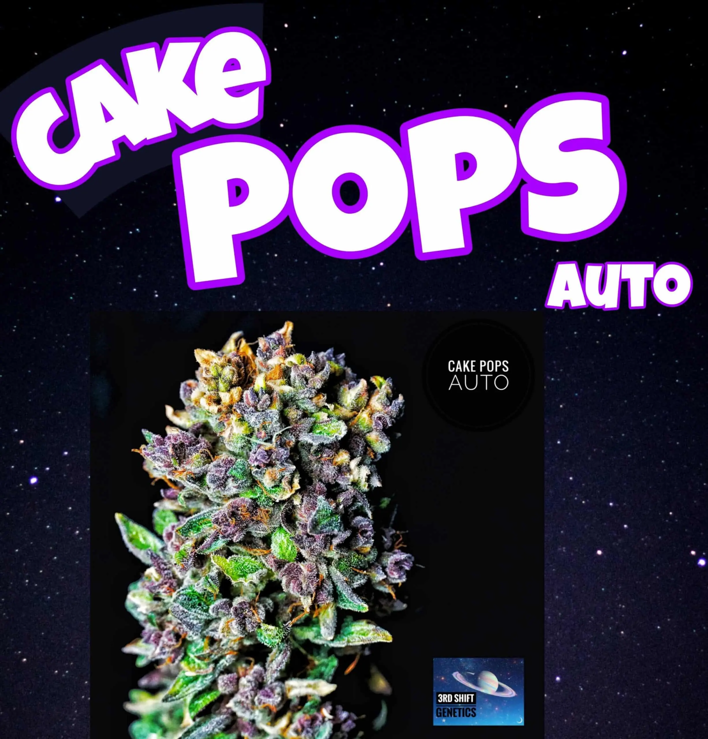 Cake Pops F5 Auto | 3rdShiftGenetics | FEM Autoflower Seeds