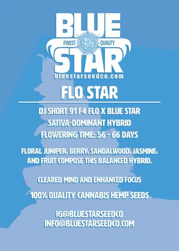 Flo Star