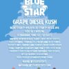 Blue Star Seed Co – Grape Diesel Kush Strain – Reg Photo – 10 Pack - Image 4