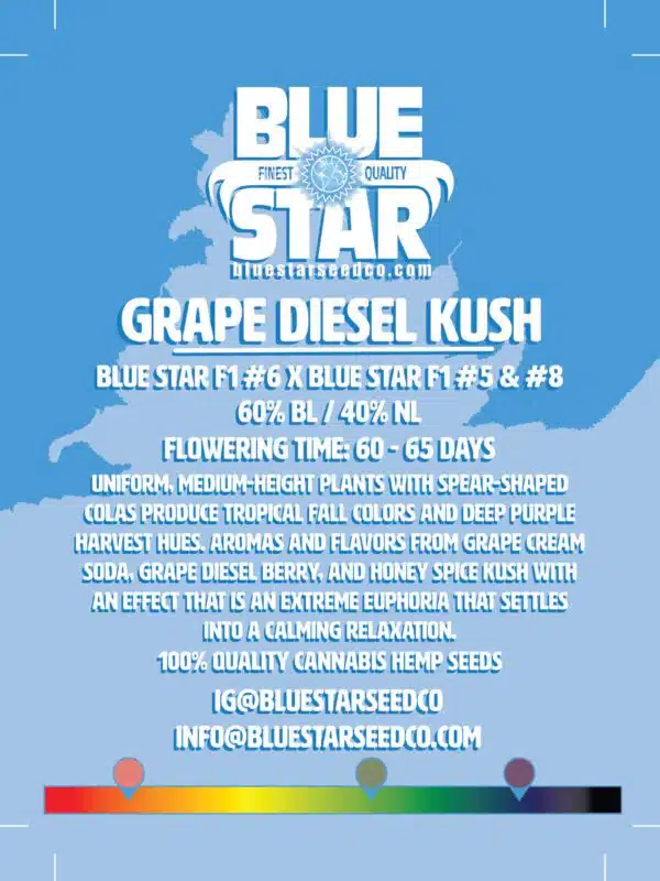 Grape Diesel Kush