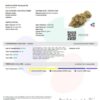 ROMULAN GENETICS - ROMSCOTTI F1 STRAIN - FEM PHOTO - 6 PACK - Image 2