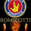 ROMULAN GENETICS - ROMSCOTTI F1 STRAIN - FEM PHOTO - 6 PACK - Image 4