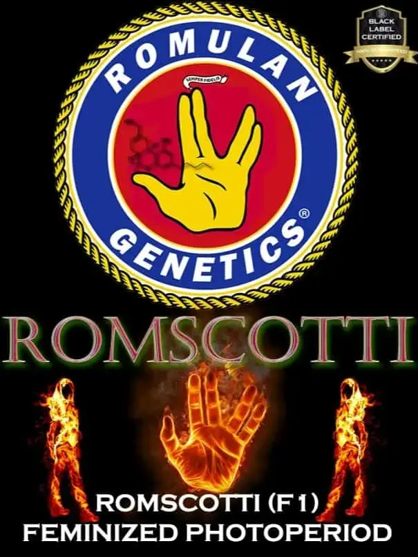 ROMULAN GENETICS – ROMSCOTTI F1 STRAIN – FEM PHOTO – 6 PACK