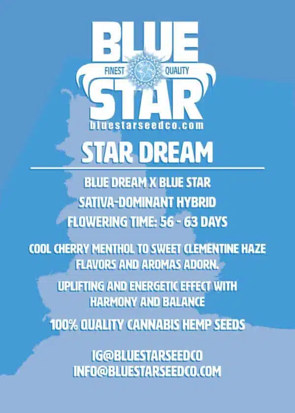 Star Dream