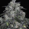 Image of cannabis