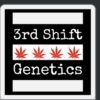 3rdShiftGenetics – BOGO Purple Cream Cake Strain – Fem Auto - 3 Pack - Image 2