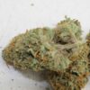 Annunaki Genetics - Cream Soda Strain - Reg Photo - Image 5