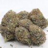 Annunaki Genetics – Halo Strain – Fem Photo - Image 7