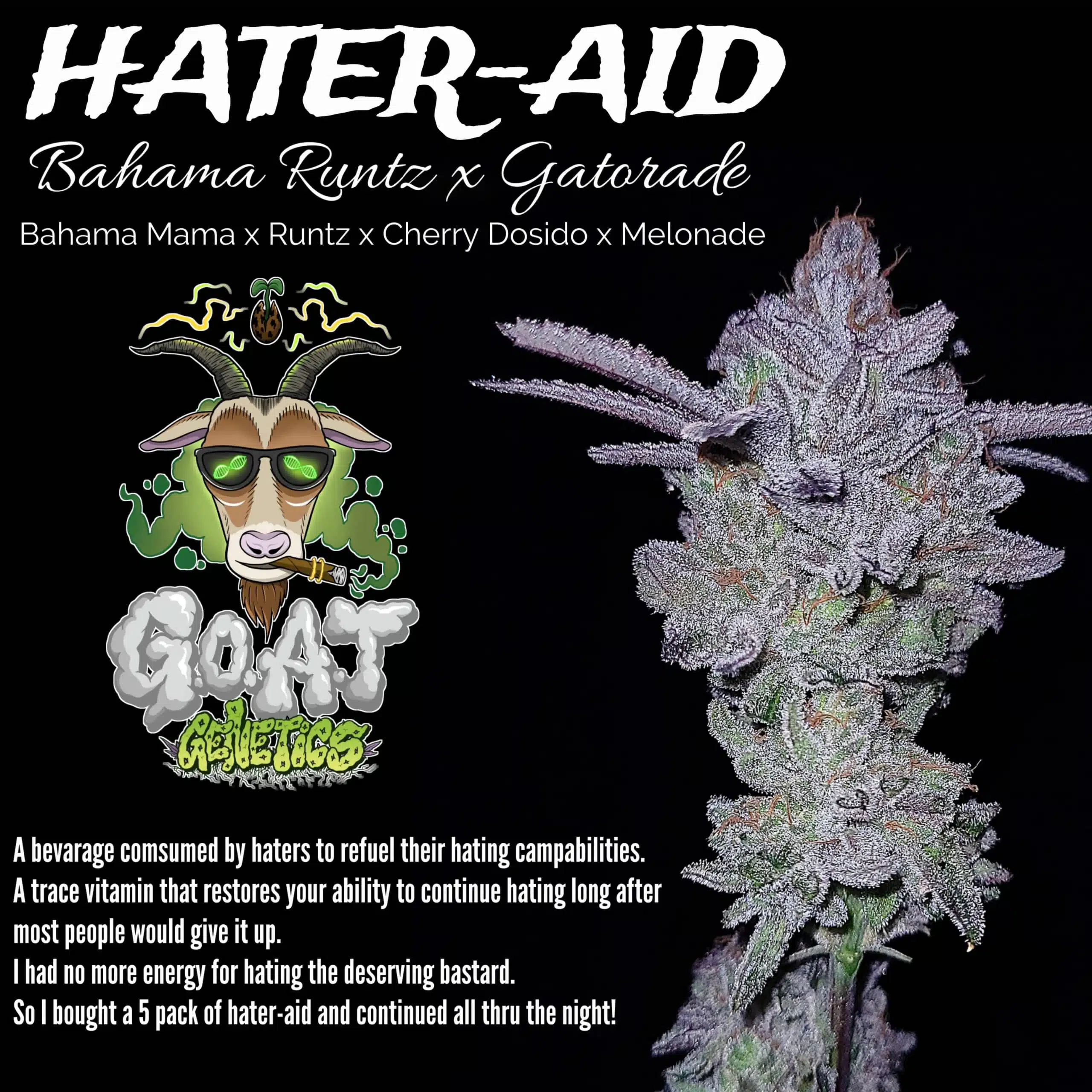 HATER-AID | Goat Genetics | FEM Photoperiod Seeds