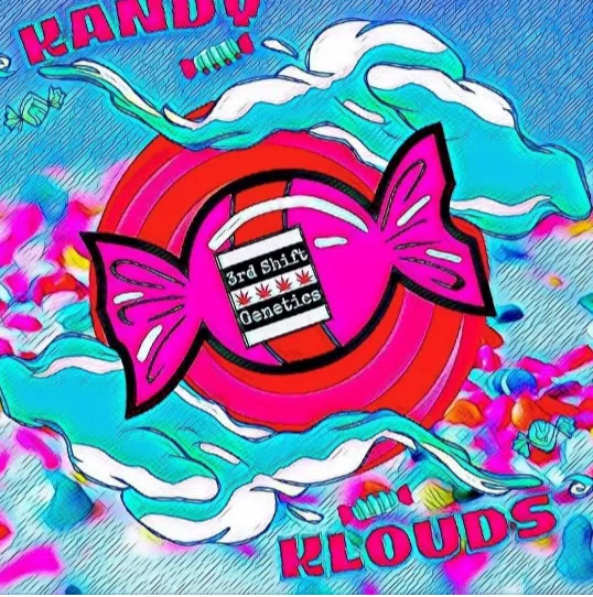 Kandy Klouds Auto | 3rdShiftGenetics | FEM Autoflower Seeds