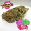 Tastebudz – Pink Apple Soda Strain – Fem Auto - Image 2