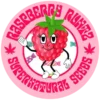 Supernatural Seeds – Raspberry Runtz Strain – Fem Photo - Image 3