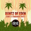 ELEV8 SEEDS - RUNTZ OF EDEN STRAIN - FEM PHOTO - 6 PACK - Image 2