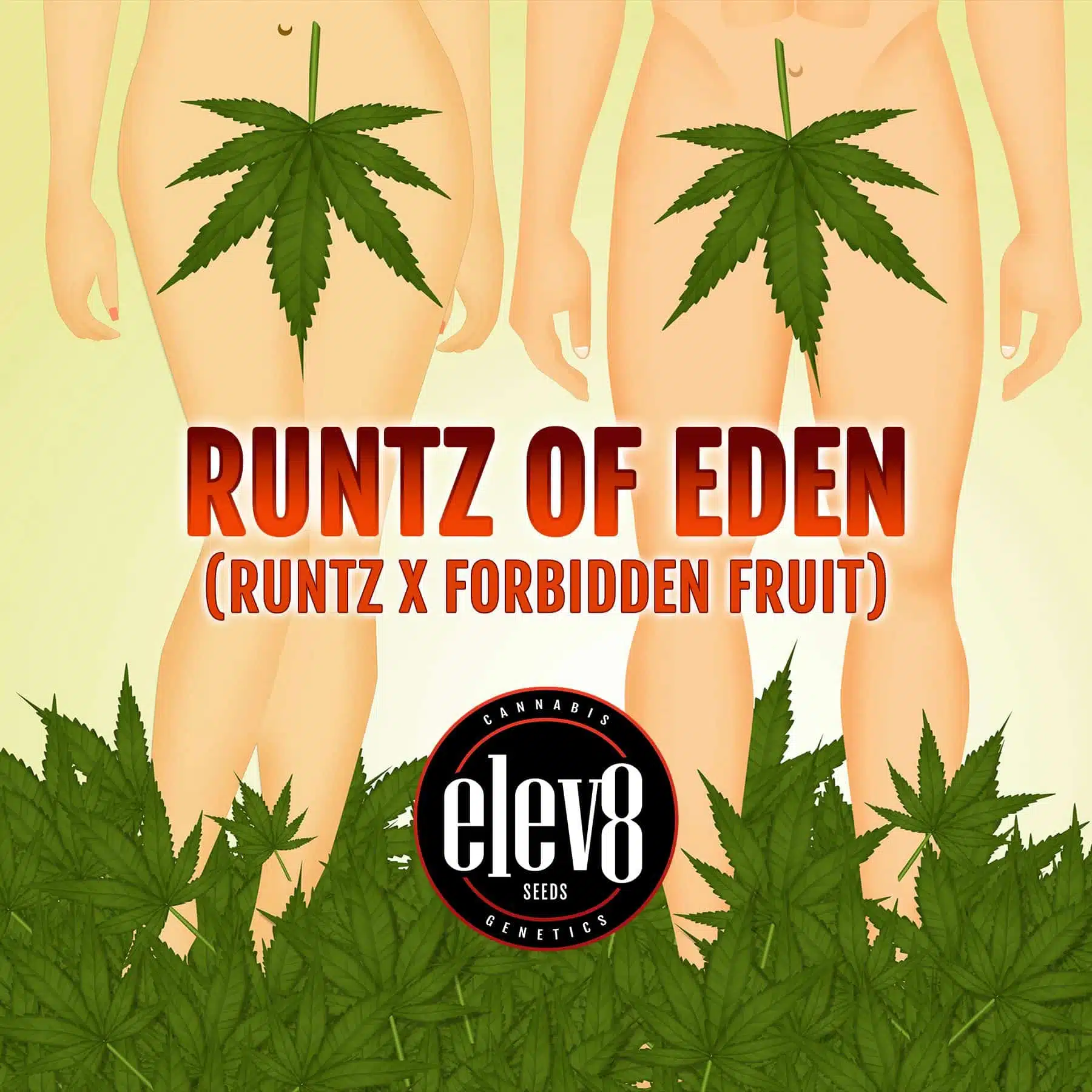 Runtz Of Eden