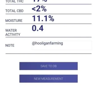 Hooligan Farming Supplies - San Abagan Strain - Fem Auto 3 pack - Image 2