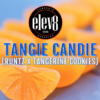 ELEV8 SEEDS - Tangie Candie STRAIN - FEM PHOTO - 6 PACK - Image 2