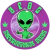 Supernatural Seeds – U.F.O.G Strain – Fem Photo - Image 3