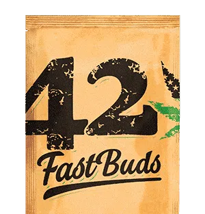 Original Skunk Auto | Fast Buds | FEM Autoflower Seeds