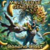 Multiverse Genetics - Banana Blast Strain - Fem Photo - Image 5