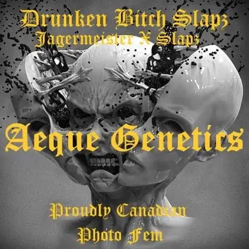 image of Drunken Bitch Slaps