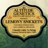 Altitude Genetics – Lemony Snickets Strain – Auto Fem – 3 Pack - Image 2