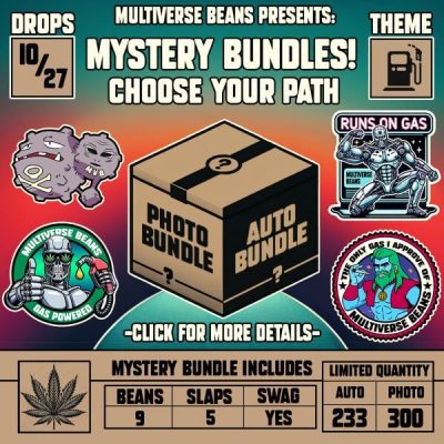 Multiverse Beans Mystery Bundles