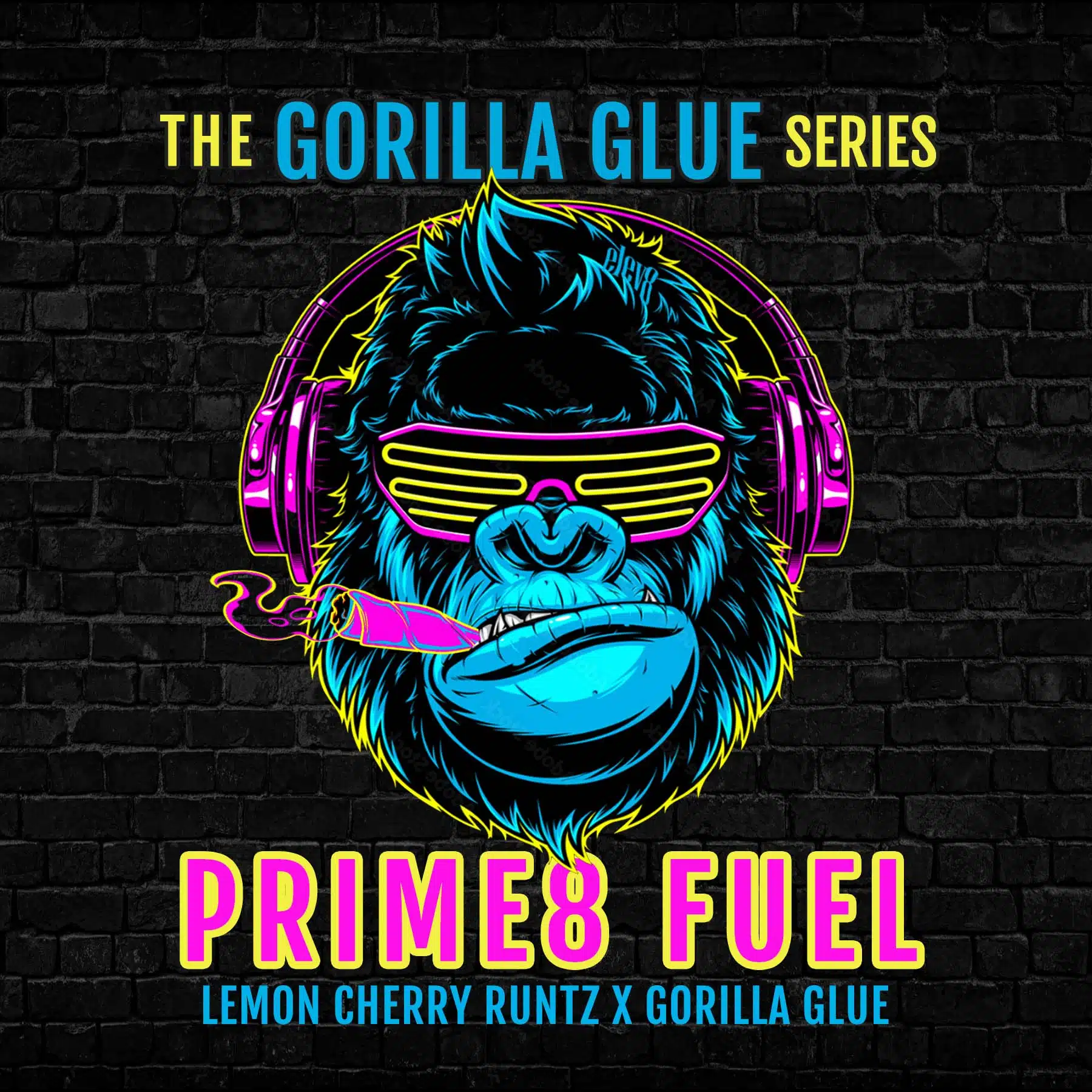 Prime8 Fuel | Elev8 Seeds | FEM Photoperiod Seeds