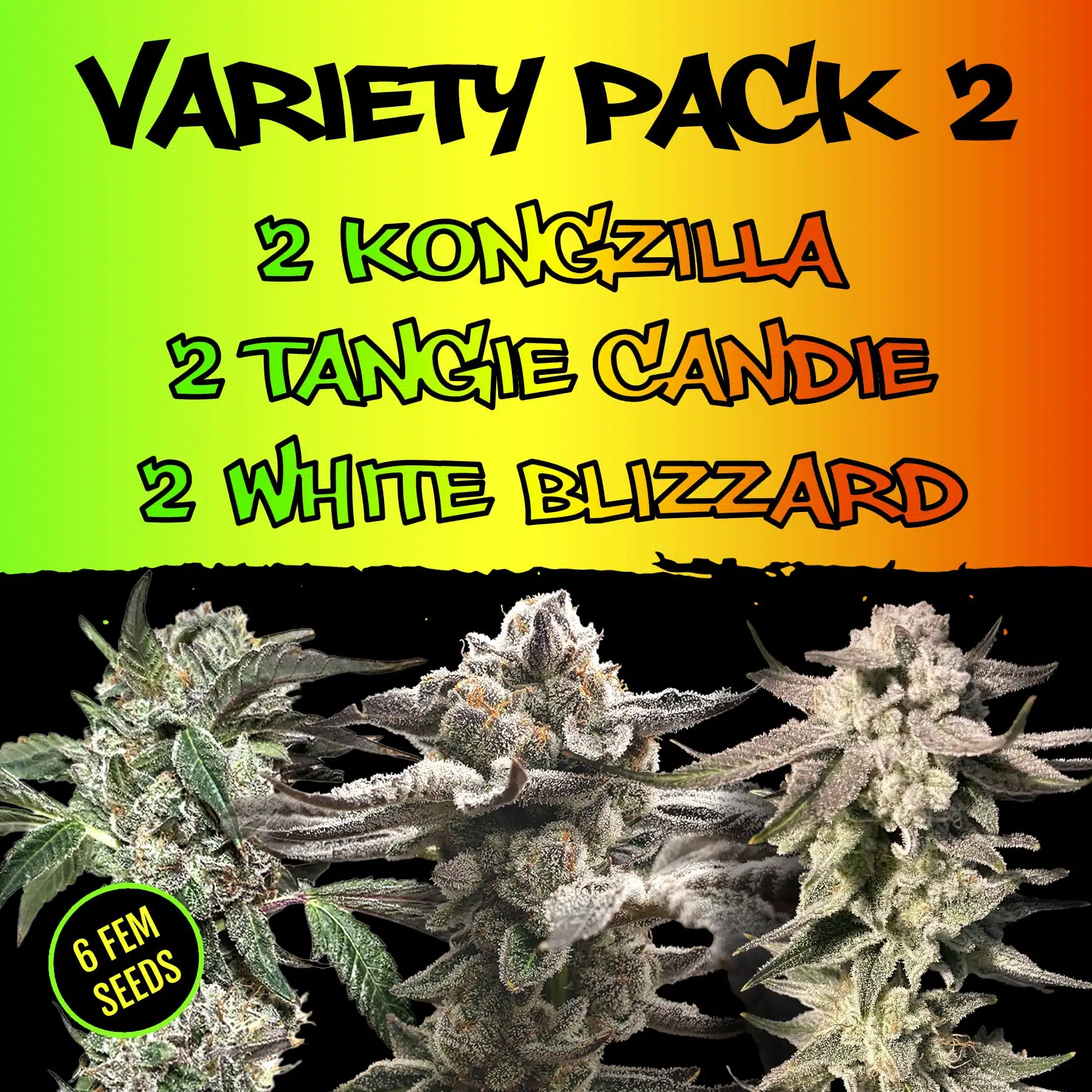 Variety Pack 2 | Elev8 Seeds | FEM Photoperiod Seeds