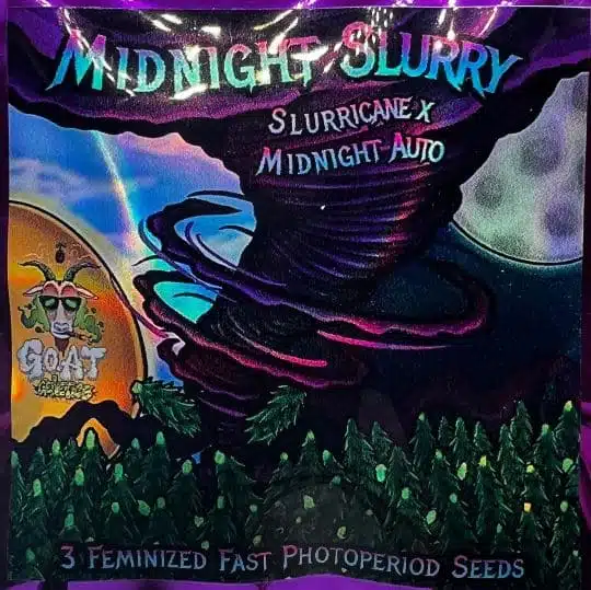 Midnight Slurry | Goat Genetics | FEM Fast Photoperiod Seeds
