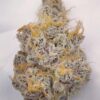 Sunken Treasure Seeds - OZ Kush Cake - Reg Photo 12 Pack - Image 3