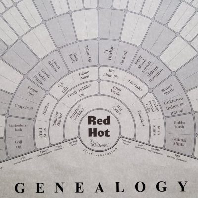 Image of flier containing genealogy for red hot