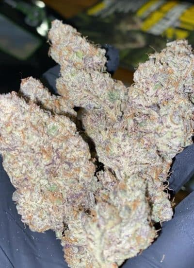 Image of reserva privada automatica sugar qookies rbx1 strain auto flower femized seed buds