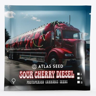 South Cherry Diesel