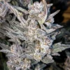 Strawberry Milk Qookies F2