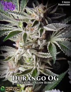 Durango OG Photo