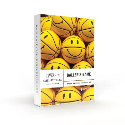 Baller's Game image