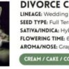 DIVORCE CAKE | ATLAS SEEDS | PHOTOPERIOD FEMALE CANNABIS SEEDS - Image 3