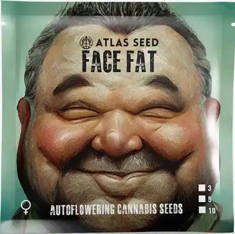 Facefat Auto