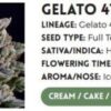 GELATO 41 | ATLAS SEEDS | PHOTOPERIOD FEMALE CANNABIS SEEDS - Image 3