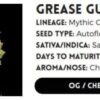 GREASE GUN AUTO | ATLAS SEEDS | AUTOFLOWER FEMALE CANNABIS SEEDS - Image 3