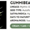 GUMMIE BEARS AUTO | ATLAS SEEDS | AUTOFLOWER FEMALE CANNABIS SEEDS - Image 3