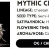 MYTHIC CHETTAH | ATLAS SEEDS | PHOTOPERIOD FEMALE CANNABIS SEEDS - Image 3