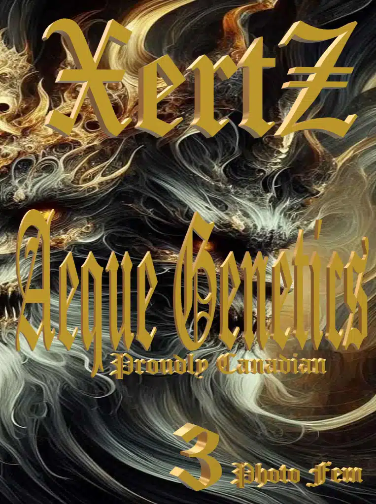 Promotional graphic image