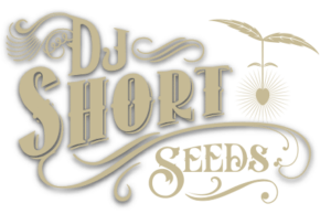 DJ Short Seeds