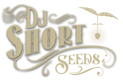 DJ Short Seeds