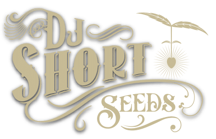 DJ Short Seeds logo