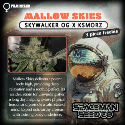 poster with a space man advertising and describing Mallow Skies