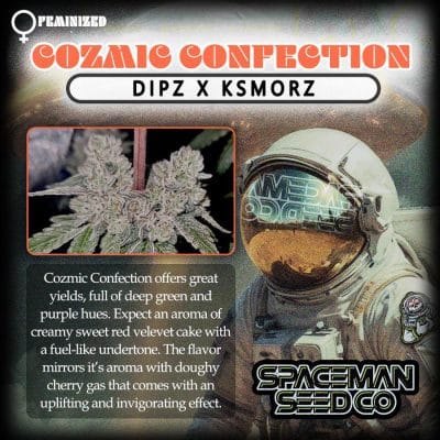 poster with a space man advertising and describing Cozmic Confection