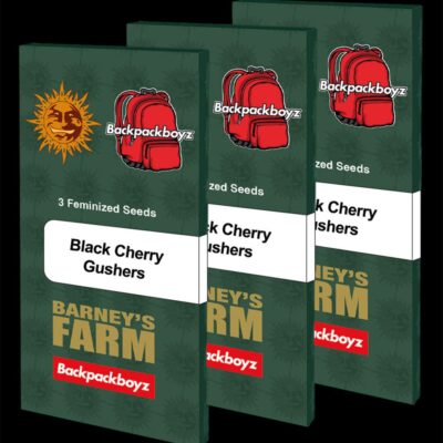 Black Cherry Gushers image